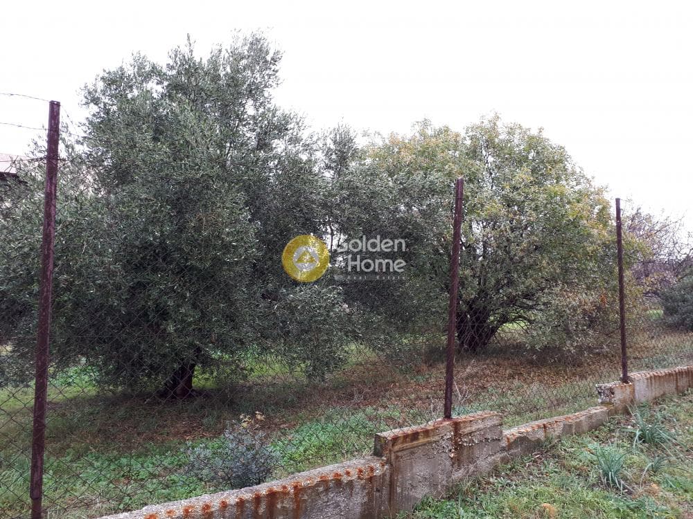 Building Plot in Kato Charvati, Pallini — Photo 3 of 9