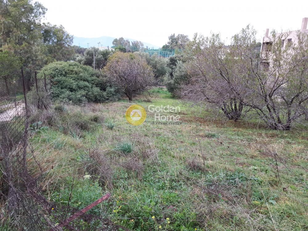 Building Plot in Kato Charvati, Pallini — Photo 9 of 9