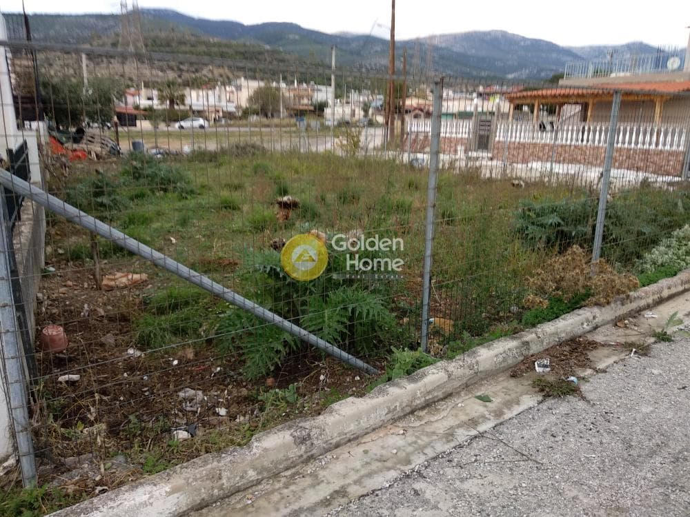 Αγροτεμάχιο στην Μεγάλα Σχοινία Α, Αχαρνές — Φωτογραφία 3 από 10