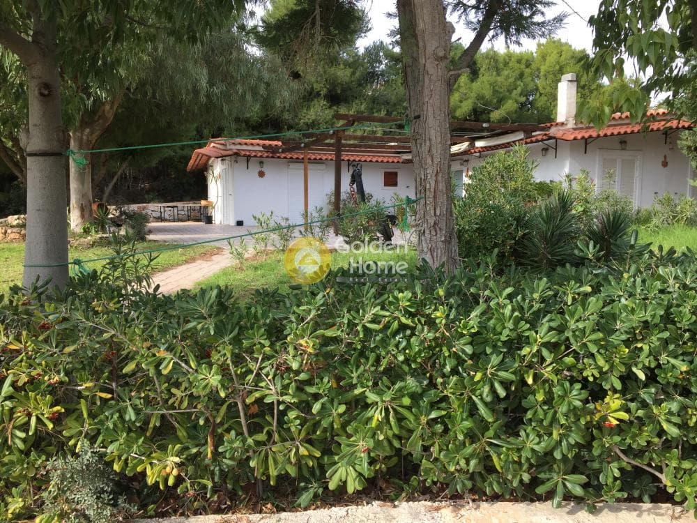 Μονοκατοικία στην Λαμπρικά, Κορωπί — Φωτογραφία 6 από 25