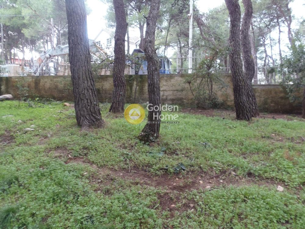 Building Plot in Efxinos Pontos, Stamata — Photo 2 of 2