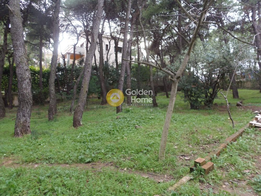 Building Plot in Efxinos Pontos, Stamata — Photo 1 of 2