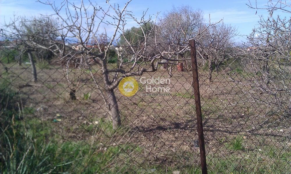 Οικόπεδο στην Κυψέλη, Αίγινα — Φωτογραφία 2 από 3