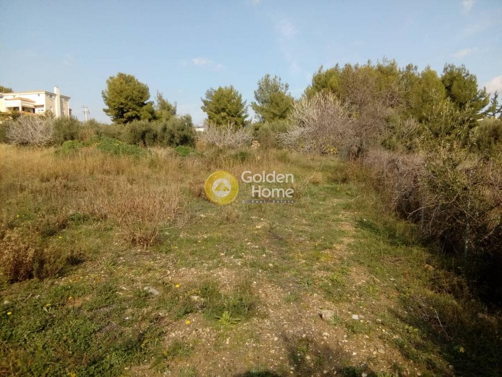 Αγροτεμάχιο στην Καρούζι, Παλλήνη — Φωτογραφία 2 από 4
