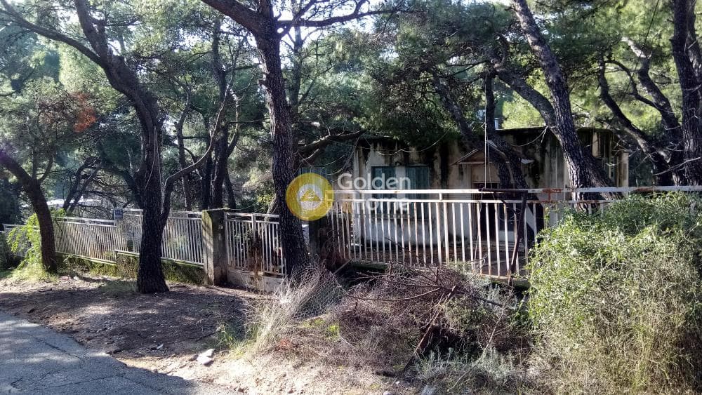 Building Plot in Megala Sxoinia A, Acharnes — Photo 2 of 17