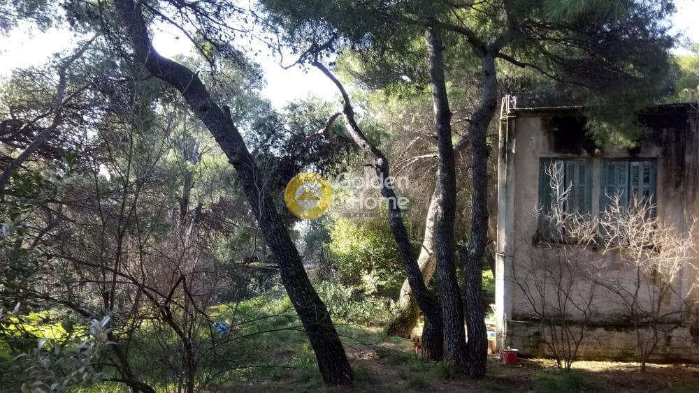 Building Plot in Megala Sxoinia A, Acharnes — Photo 9 of 17