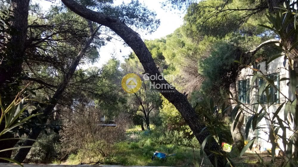 Building Plot in Megala Sxoinia A, Acharnes — Photo 3 of 17