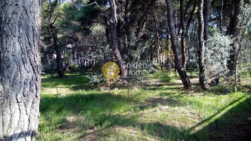 Building Plot in Megala Sxoinia A, Acharnes — Photo 7 of 17