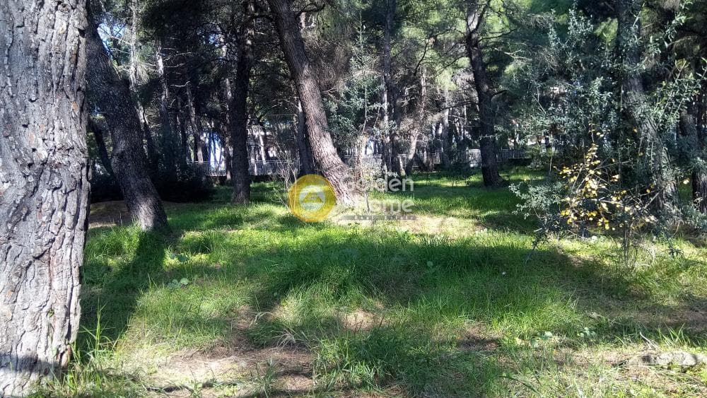 Building Plot in Megala Sxoinia A, Acharnes — Photo 4 of 17