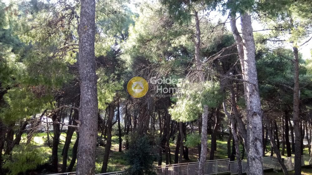 Building Plot in Megala Sxoinia A, Acharnes — Photo 15 of 17