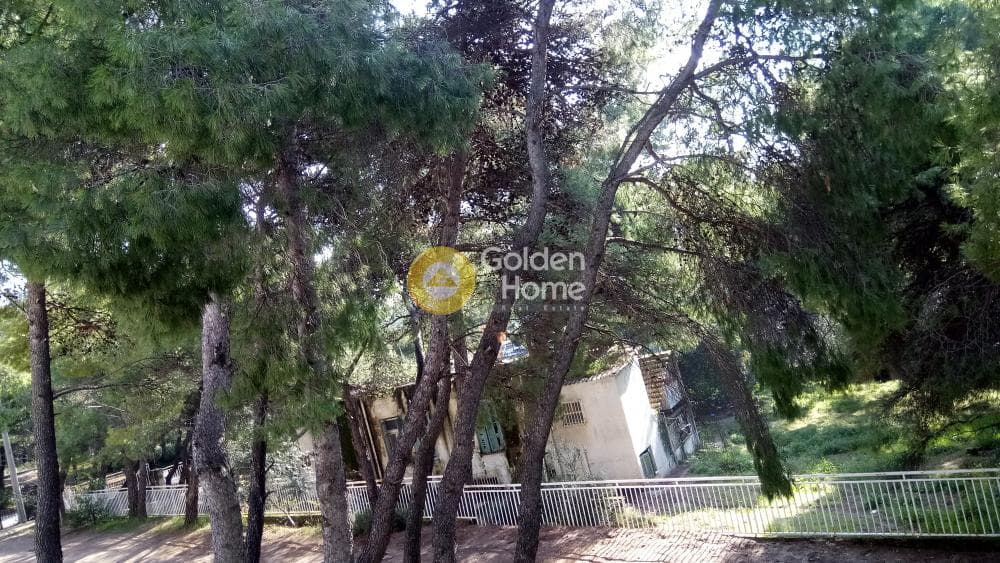 Building Plot in Megala Sxoinia A, Acharnes — Photo 12 of 17