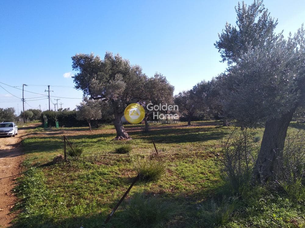 Αγροτεμάχιο στην Καρελλάς, Παιανία — Φωτογραφία 5 από 13