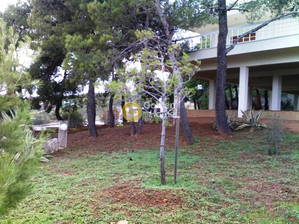 Μονοκατοικία στην Νέος Βουτζάς, Ραφήνα — Φωτογραφία 6 από 10