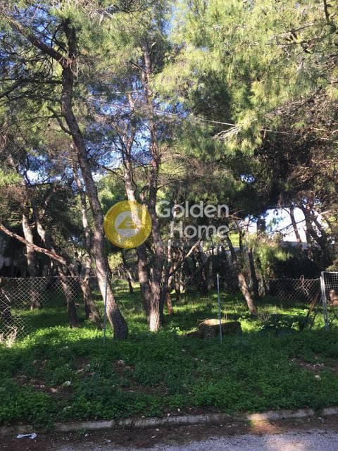 Building Plot in Avgi, Afidnes — Photo 2 of 3