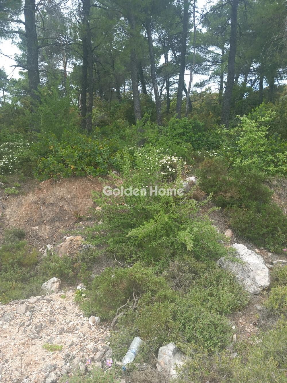 Building Plot in Avgi, Afidnes — Photo 1 of 3