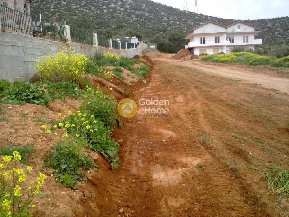 Μονοκατοικία στην Λαμπρικά, Κορωπί — Φωτογραφία 3 από 48