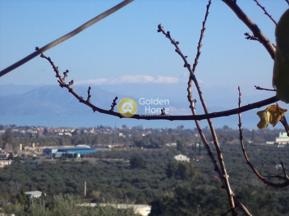 Μονοκατοικία στην Σελινούντας, Αίγιο — Φωτογραφία 1 από 12