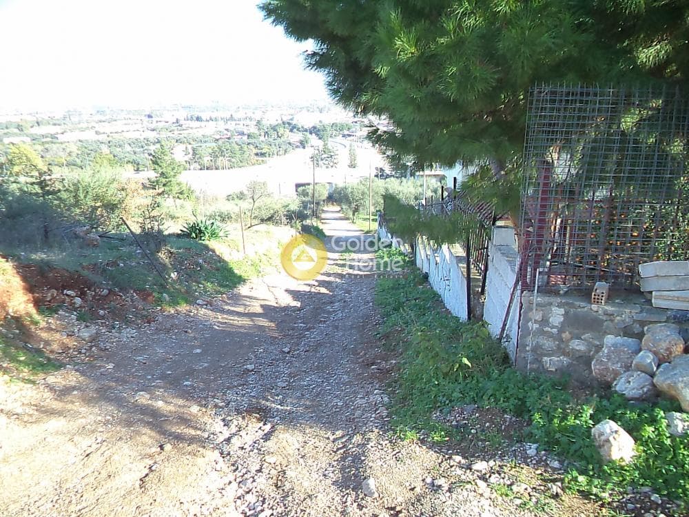 Μονοκατοικία στην Σελινούντας, Αίγιο — Φωτογραφία 4 από 12