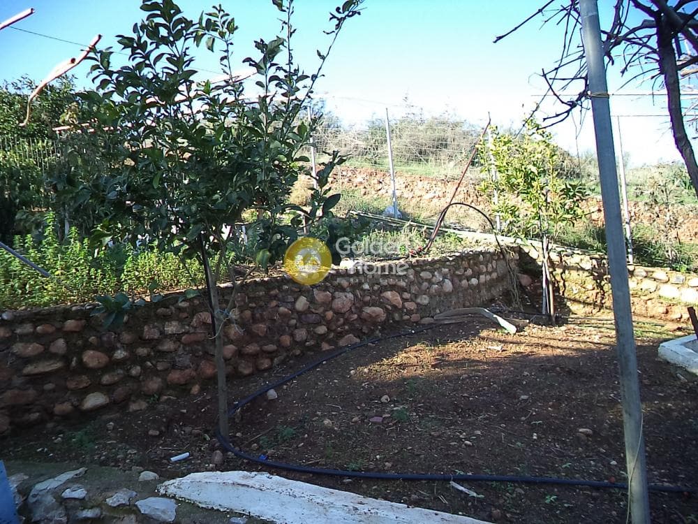 Μονοκατοικία στην Σελινούντας, Αίγιο — Φωτογραφία 5 από 12