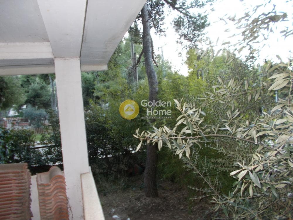 Μονοκατοικία στην Δροσιά, Δροσιά — Φωτογραφία 3 από 27