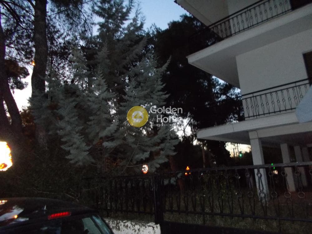 Μονοκατοικία στην Δροσιά, Δροσιά — Φωτογραφία 22 από 27