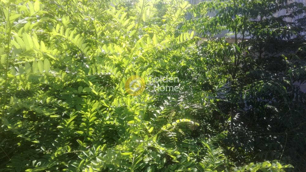 Building Plot in Zirineio, Kifisia — Photo 1 of 2