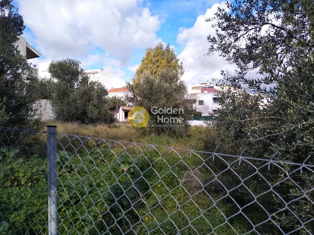 Οικόπεδο στην Κέντρο, Γλυκά Νερά — Φωτογραφία 10 από 13