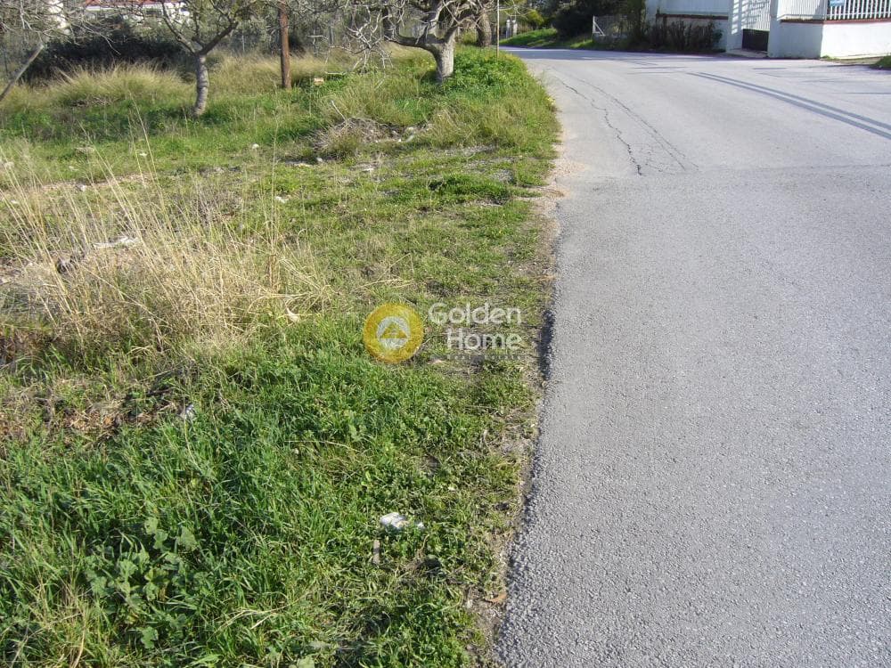 Αγροτεμάχιο στην Λαμπρικά, Κορωπί — Φωτογραφία 3 από 7