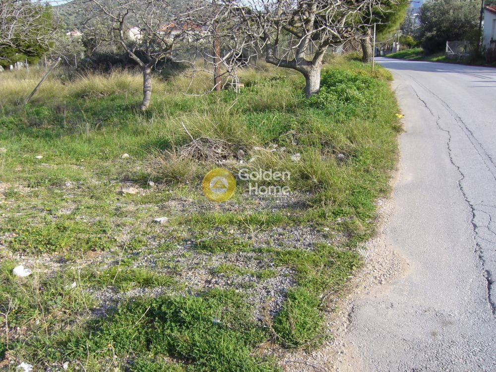 Αγροτεμάχιο στην Λαμπρικά, Κορωπί — Φωτογραφία 7 από 7