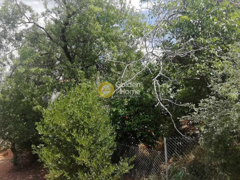Οικόπεδο στην Κέντρο, Γλυκά Νερά — Φωτογραφία 5 από 7
