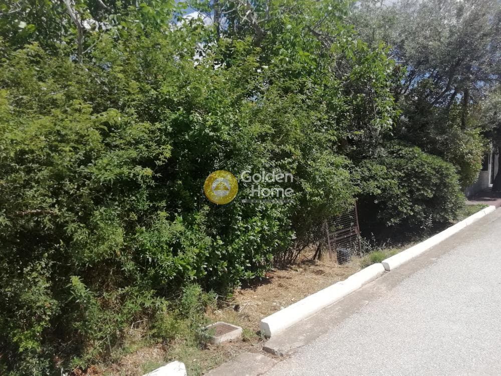 Οικόπεδο στην Κέντρο, Γλυκά Νερά — Φωτογραφία 3 από 7