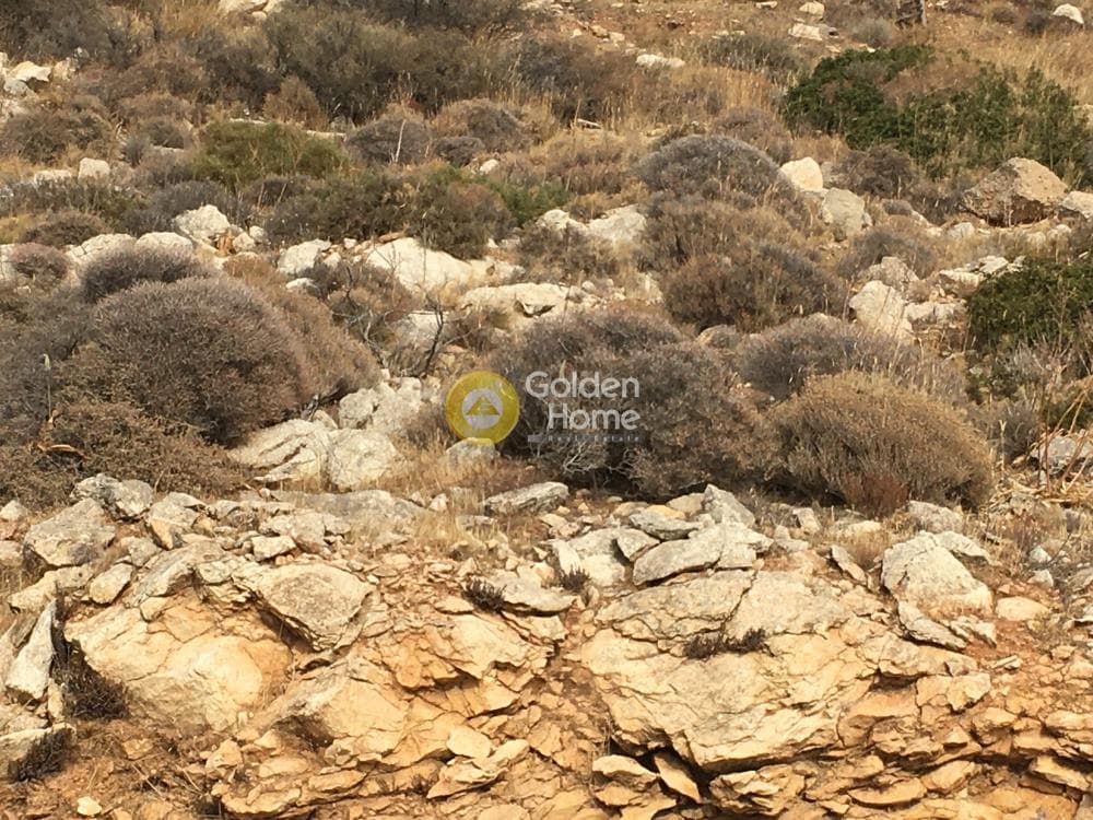 Οικόπεδο στην Σαρωνίδα, Σαρωνίδα — Φωτογραφία 3 από 7