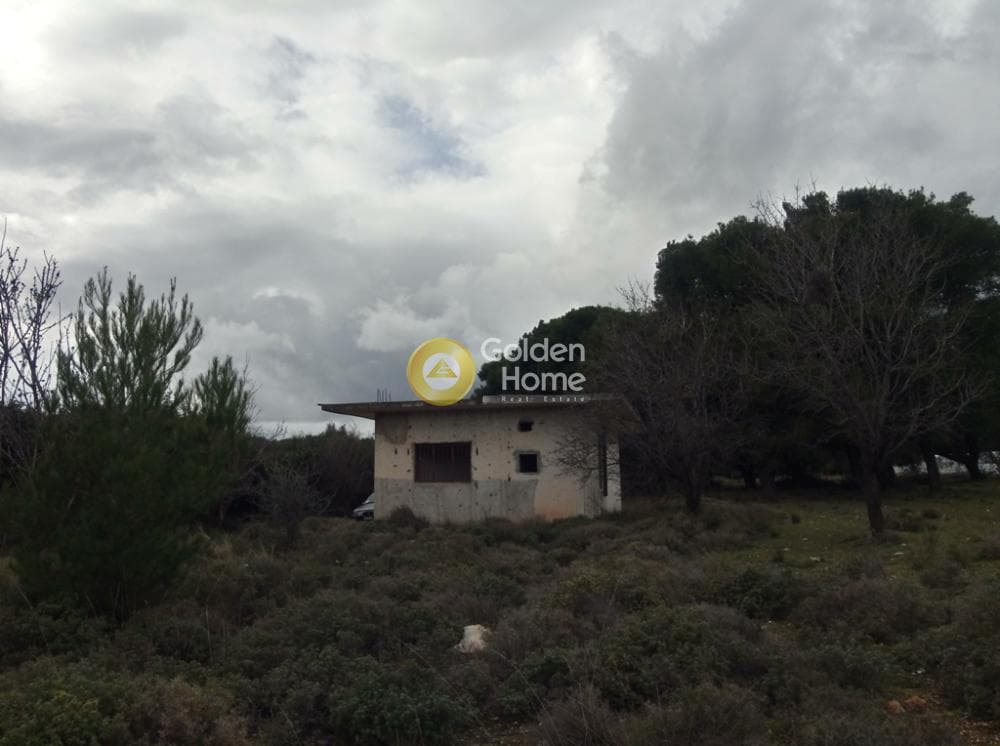 Αγροτεμάχιο στην Μεγάλα Σχοινία Α, Αχαρνές — Φωτογραφία 5 από 11