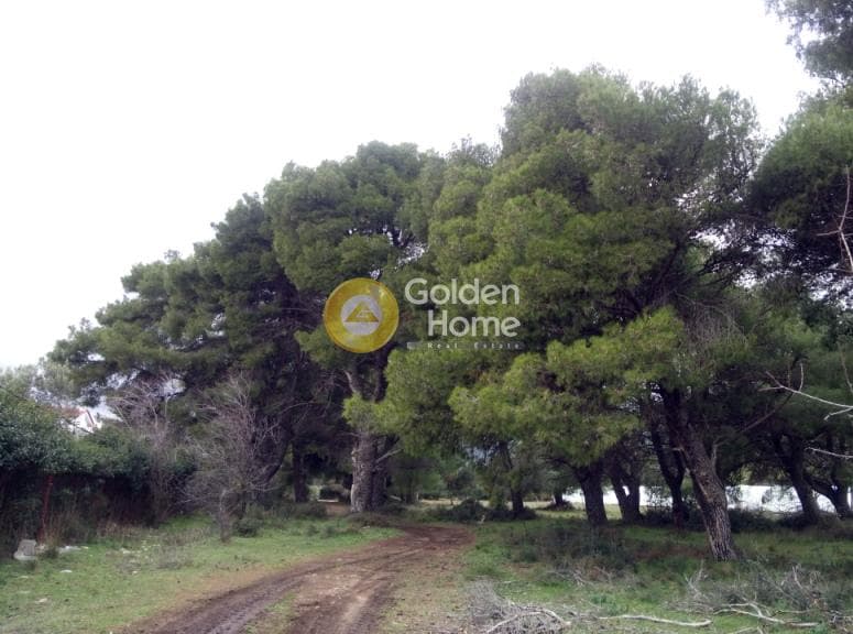 Μονοκατοικία στην Μεγάλα Σχοινία Α, Αχαρνές — Φωτογραφία 3 από 10