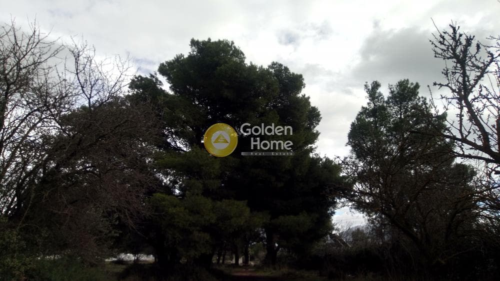 Μονοκατοικία στην Μεγάλα Σχοινία Α, Αχαρνές — Φωτογραφία 6 από 10