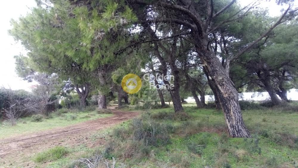 Μονοκατοικία στην Μεγάλα Σχοινία Α, Αχαρνές — Φωτογραφία 7 από 10