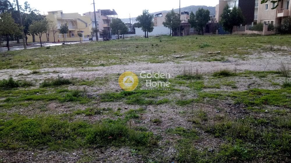 Building Plot in Agios Nikolaos, Ano Liosia — Photo 6 of 9