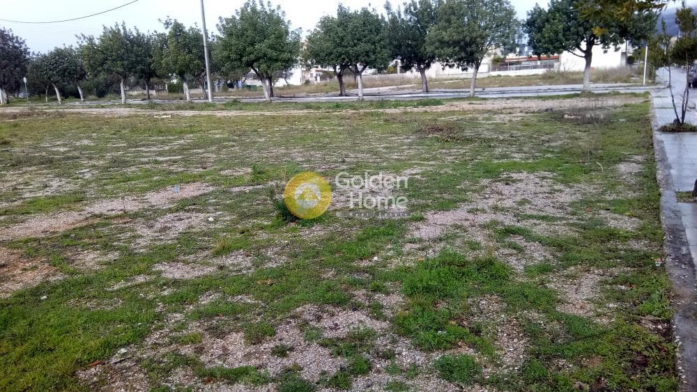 Building Plot in Agios Nikolaos, Ano Liosia — Photo 7 of 9