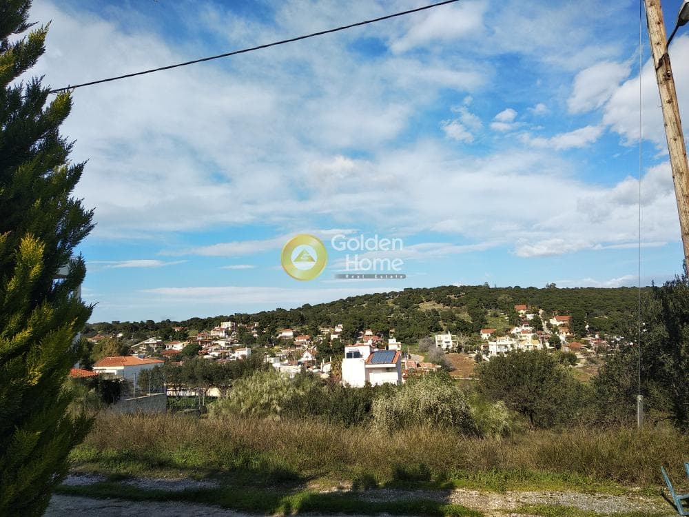 Μονοκατοικία στην Πόρτο Ράφτη, Βραυρώνα — Φωτογραφία 3 από 31