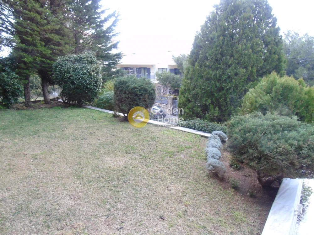 House in Kalitexnoupoli, Rafina — Photo 3 of 15