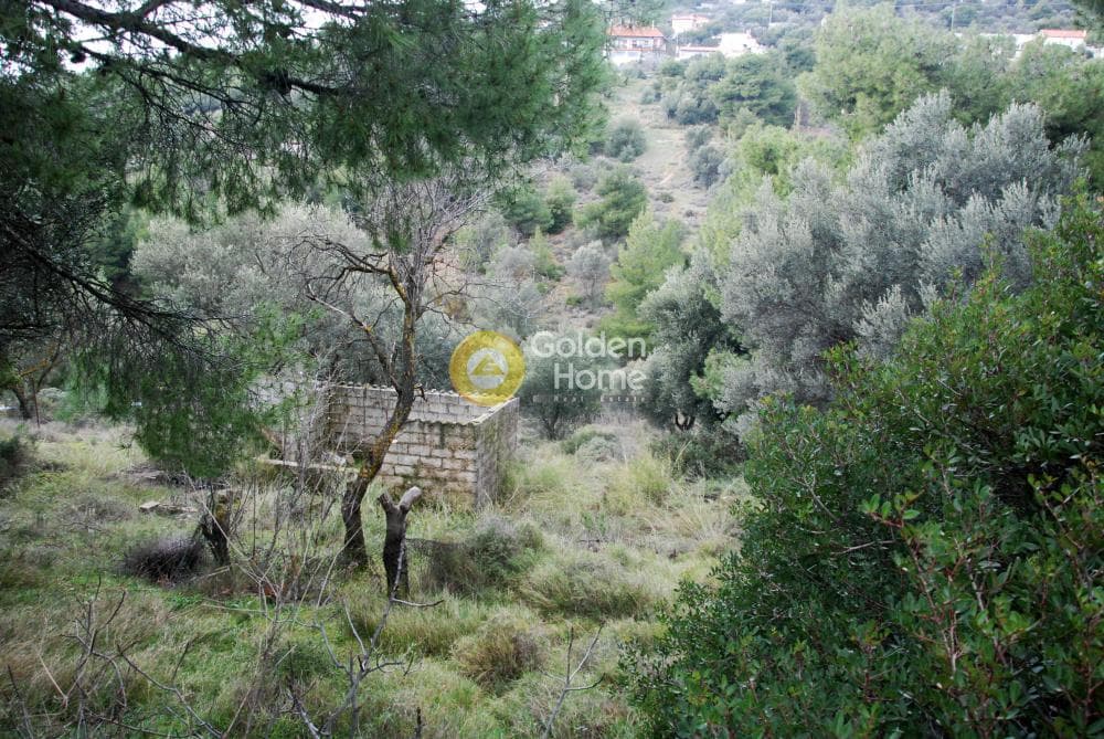 Οικόπεδο στην Κέντρο, Πεντέλη — Φωτογραφία 2 από 6