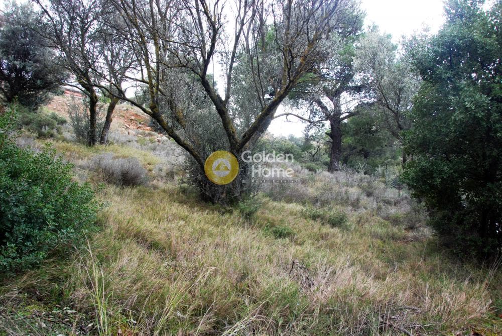 Οικόπεδο στην Κέντρο, Πεντέλη — Φωτογραφία 4 από 6