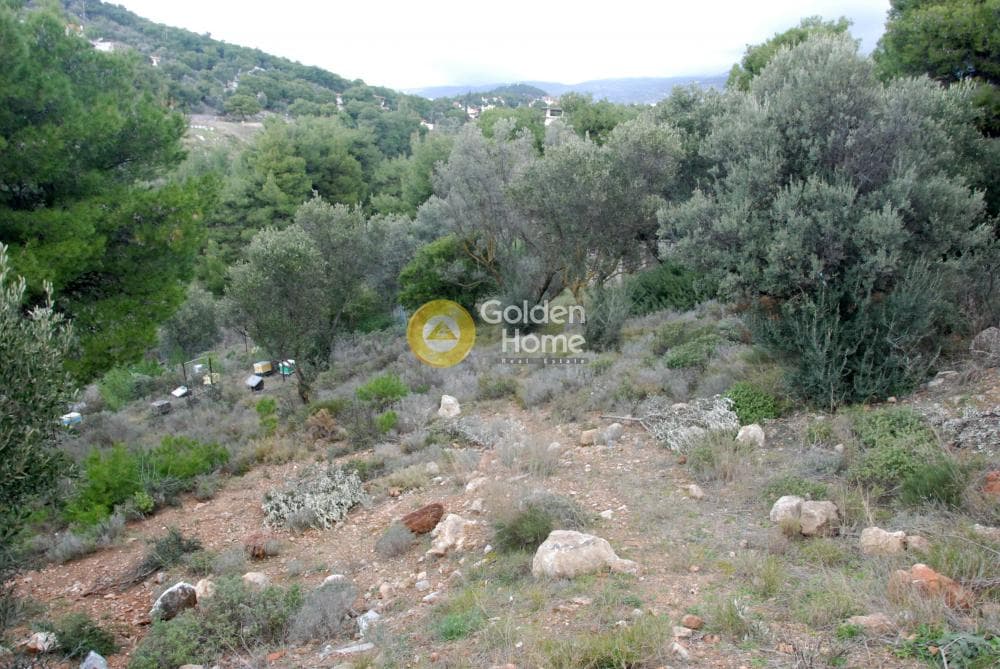 Οικόπεδο στην Κέντρο, Πεντέλη — Φωτογραφία 5 από 6