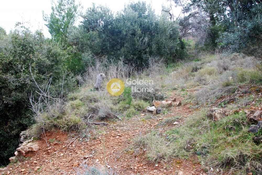 Οικόπεδο στην Κέντρο, Πεντέλη — Φωτογραφία 6 από 6