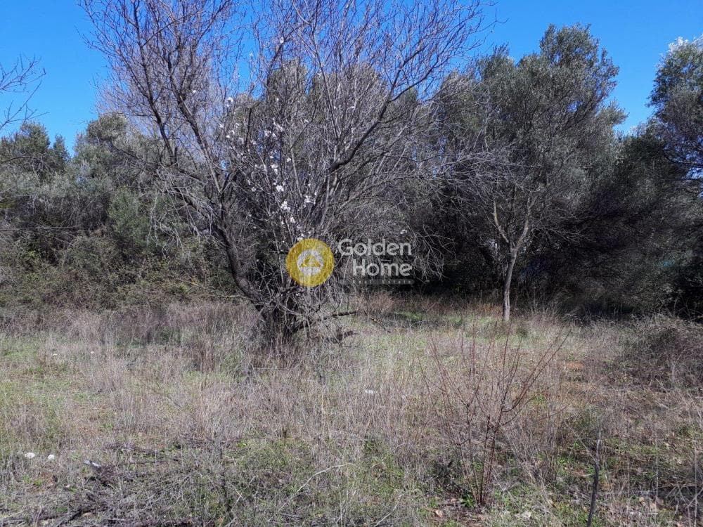 Οικόπεδο στην Αγία Τριάδα, Παιανία — Φωτογραφία 2 από 9
