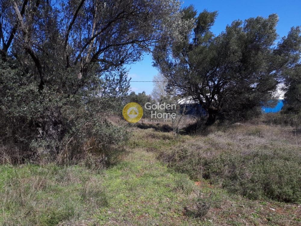 Οικόπεδο στην Αγία Τριάδα, Παιανία — Φωτογραφία 4 από 9
