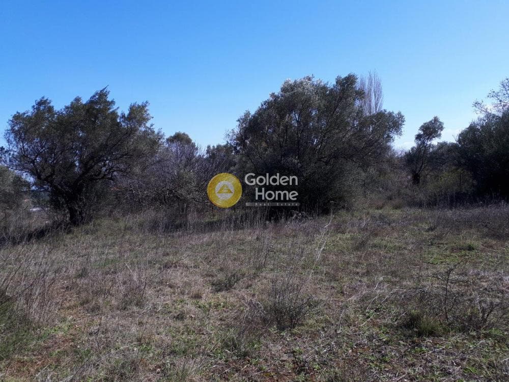 Οικόπεδο στην Αγία Τριάδα, Παιανία — Φωτογραφία 5 από 9