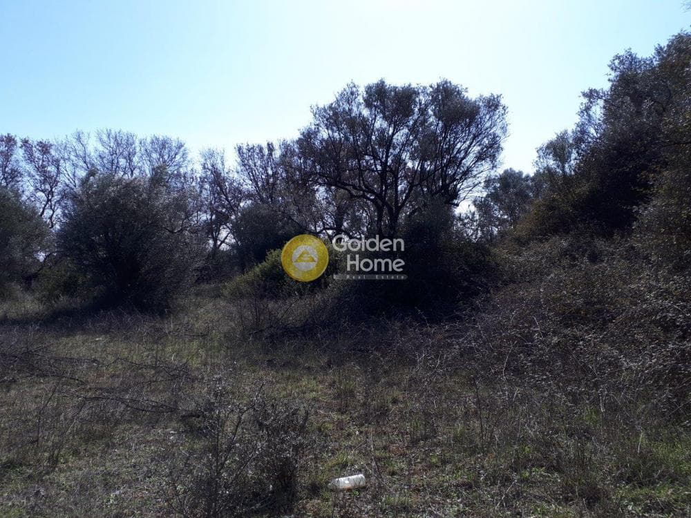 Οικόπεδο στην Αγία Τριάδα, Παιανία — Φωτογραφία 6 από 9