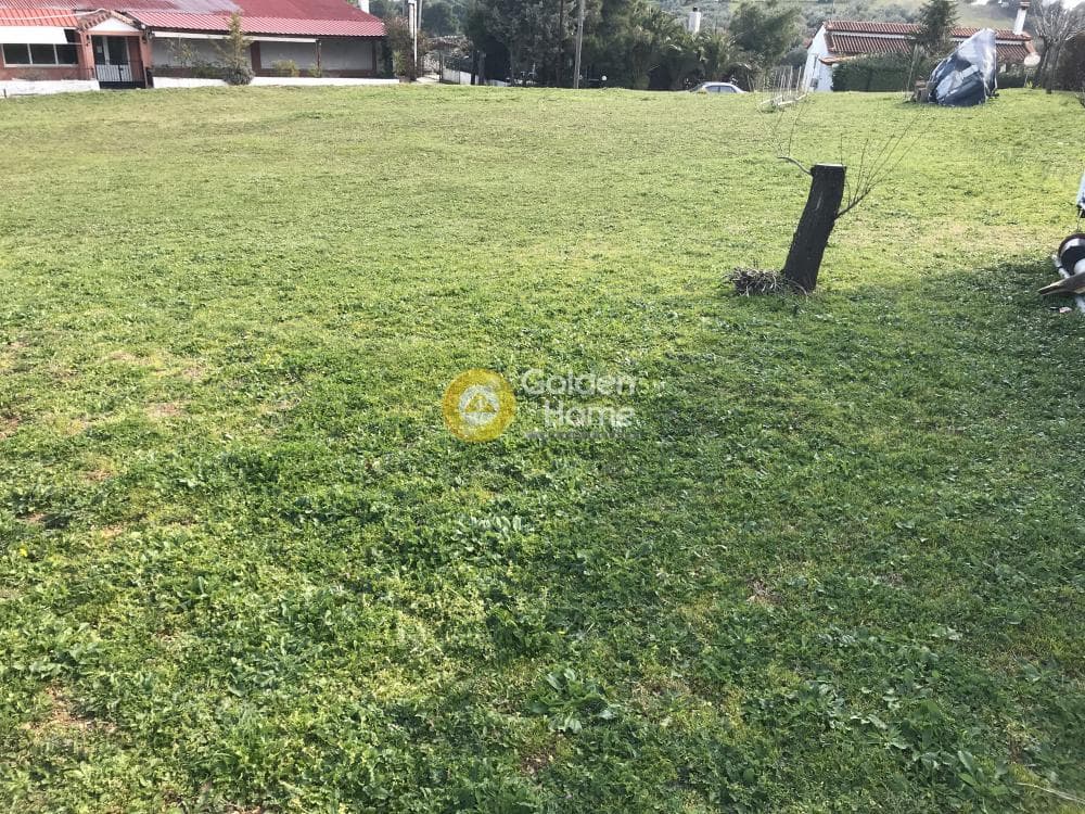 Οικόπεδο στην Οικισμός Ποντίων, Άγιος Στέφανος — Φωτογραφία 4 από 5