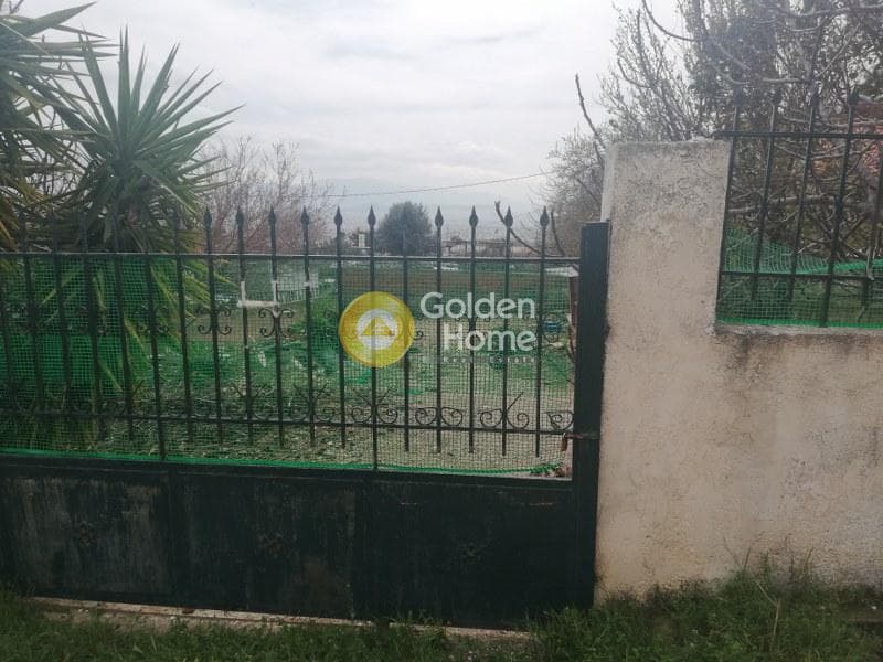 Parcel in Megala Sxoinia A, Acharnes — Photo 1 of 5